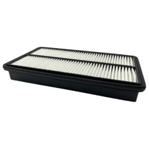 FILTRO DE AIRE 22012001OM